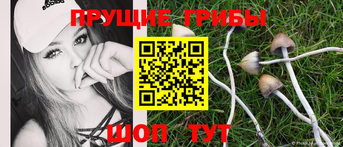 Можайск  Галлюциногенные грибы GOLDEN TEACHER  Вход с VPN  Галлюциногенные грибы Cubensis 